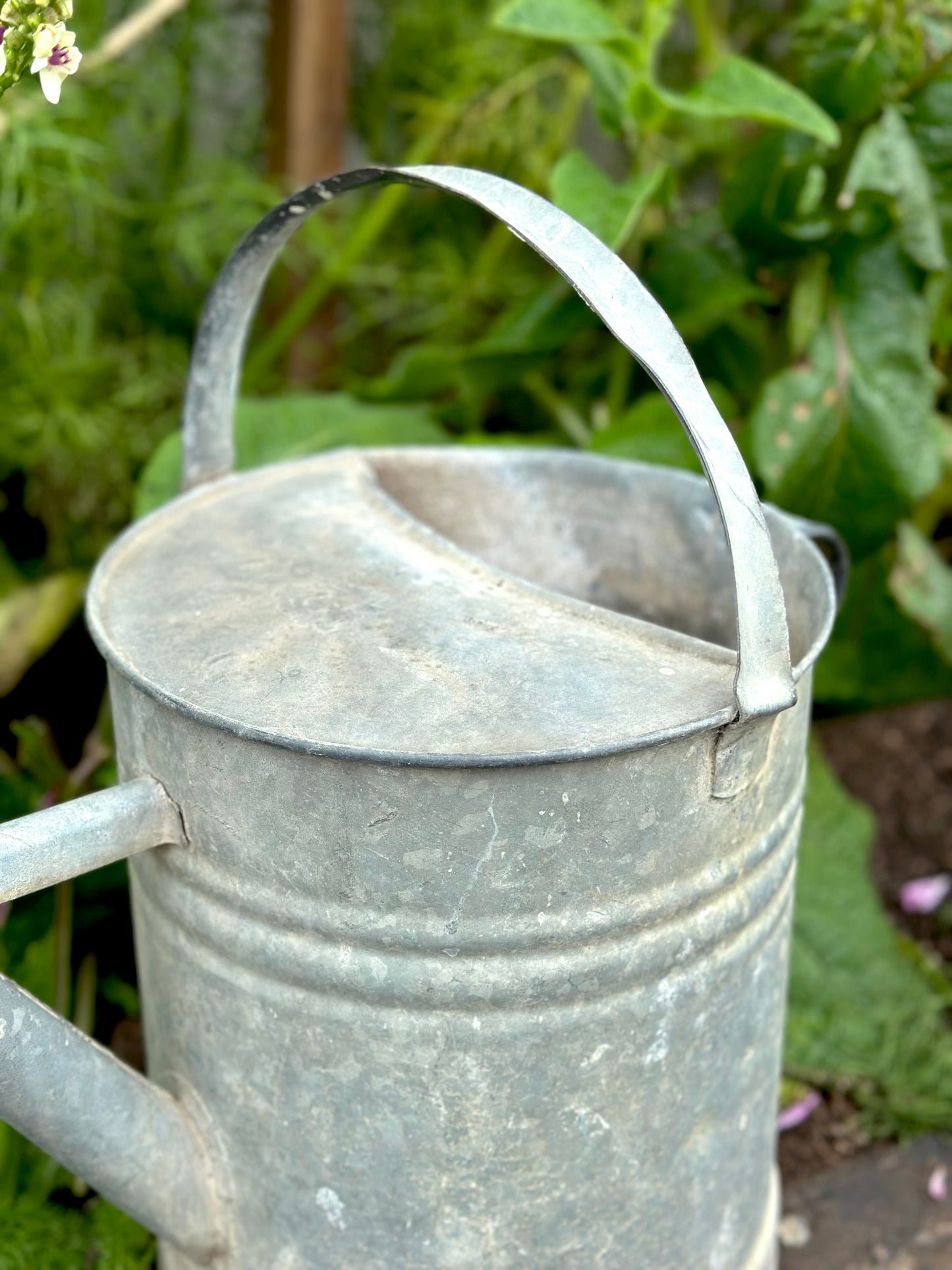 Antique French Round Base Watering Can - Large