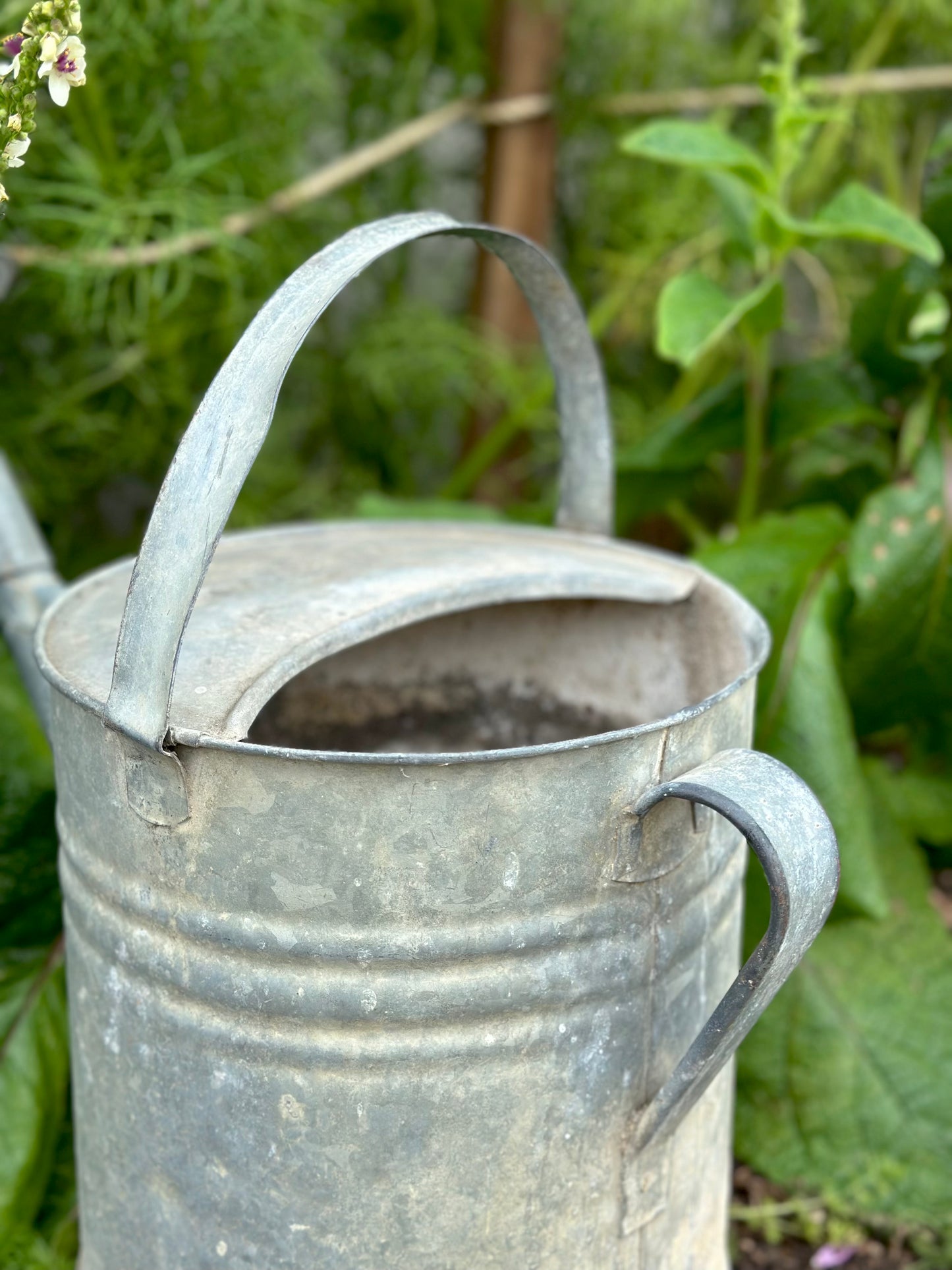 Antique French Round Base Watering Can - Large