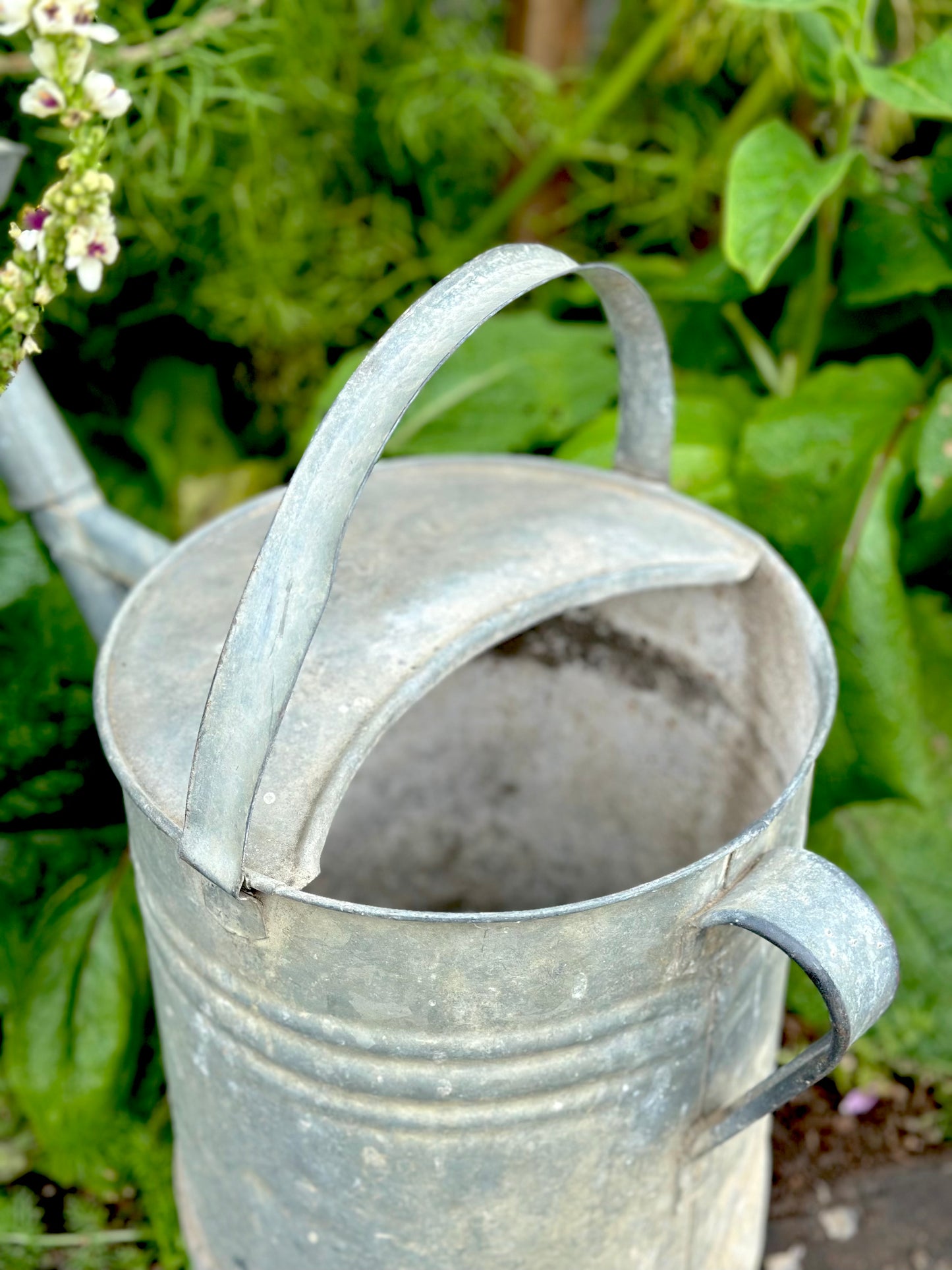 Antique French Round Base Watering Can - Large