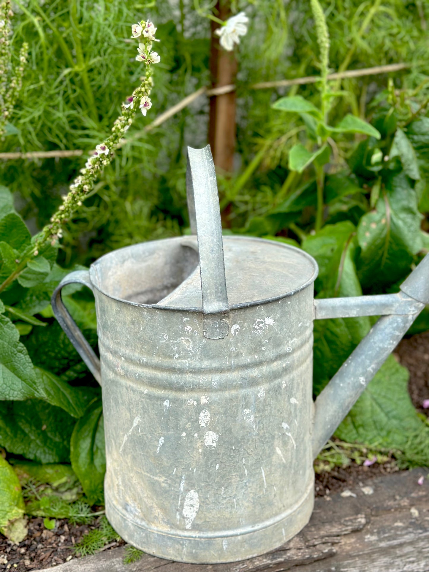Antique French Round Base Watering Can - Large