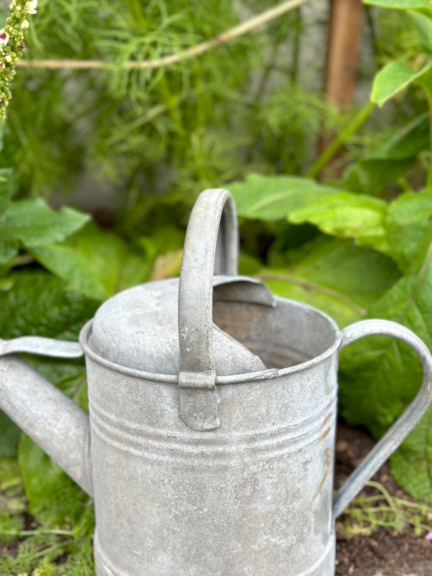 Antique French Round Base Watering Can - Small