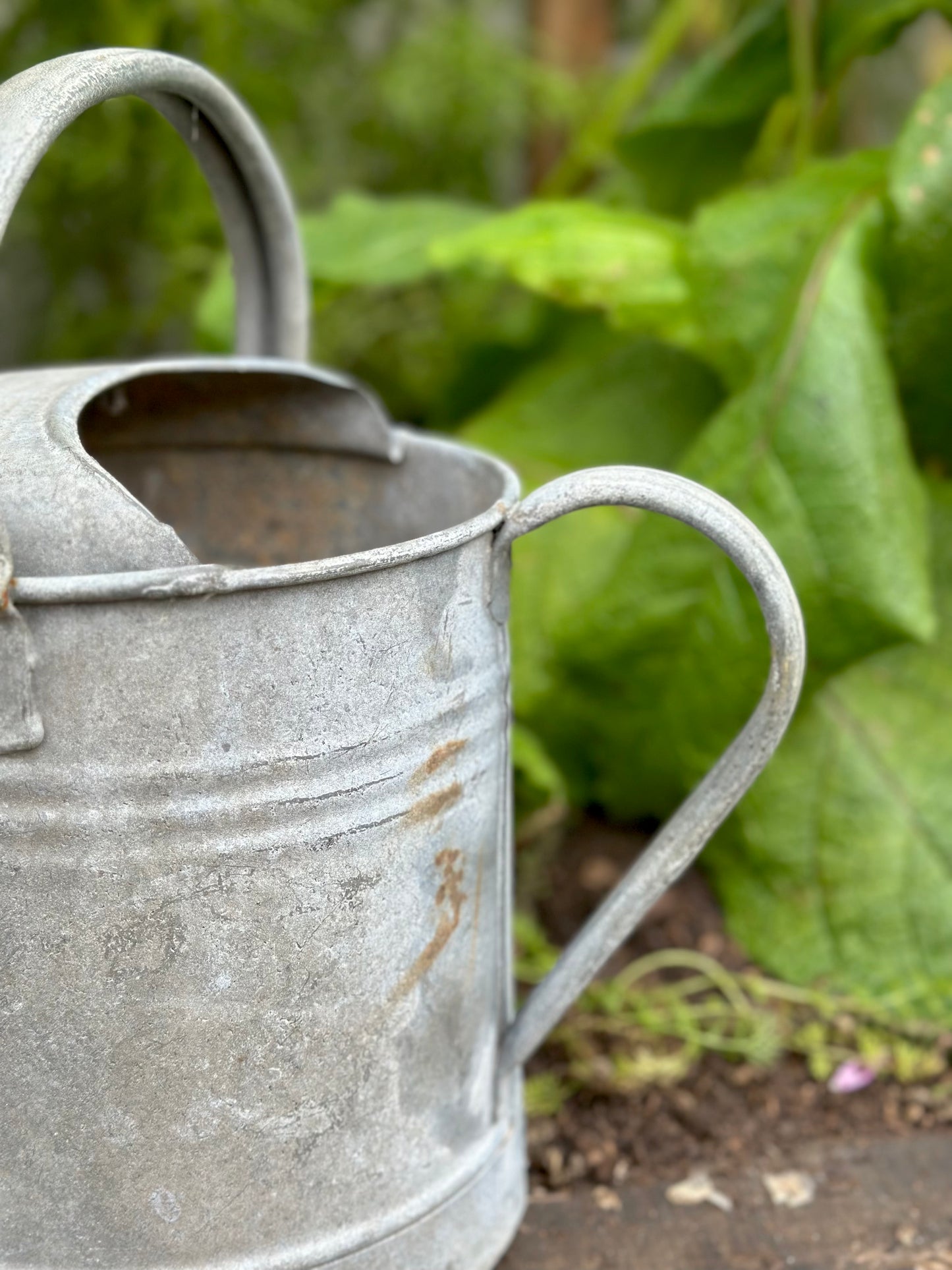 Antique French Round Base Watering Can - Small