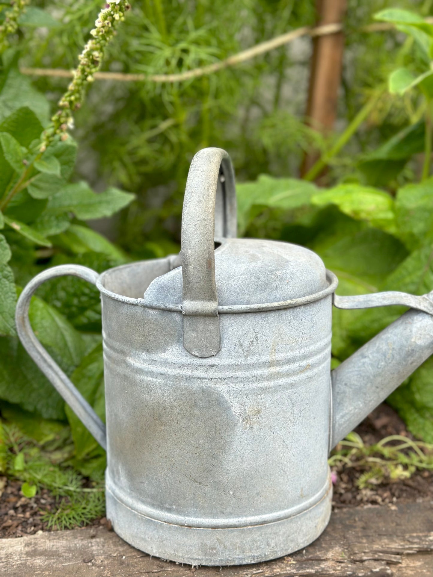 Antique French Round Base Watering Can - Small