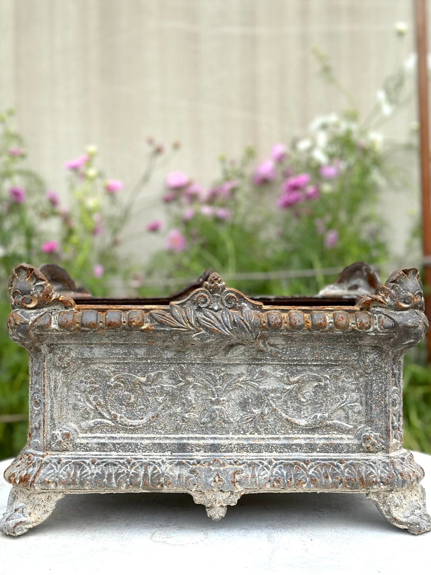 Antique French Grey Rectangle Cast Iron Jardinere