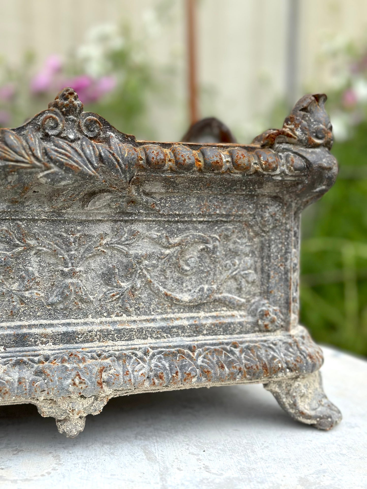 Antique French Grey Rectangle Cast Iron Jardinere