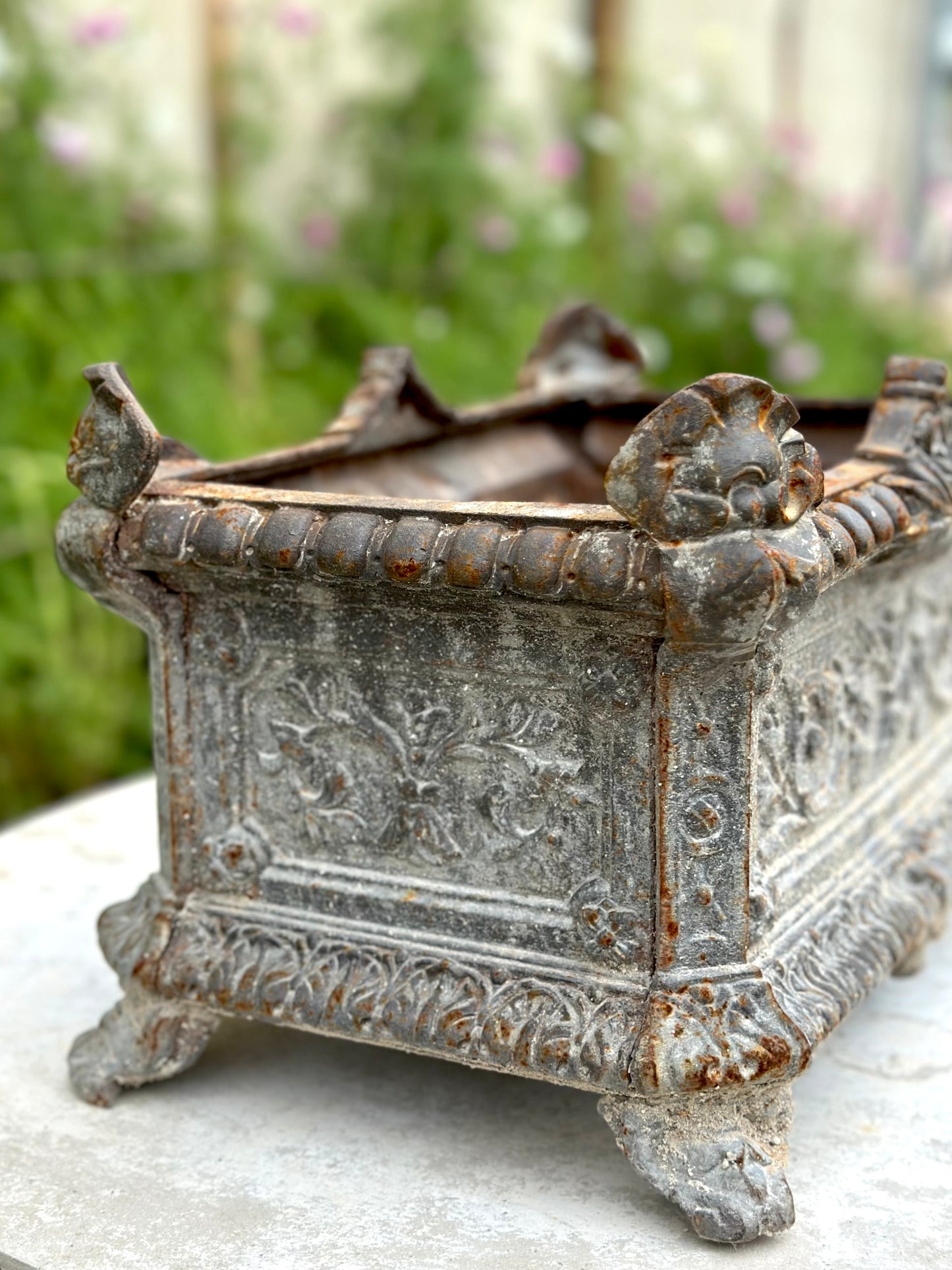 Antique French Grey Rectangle Cast Iron Jardinere