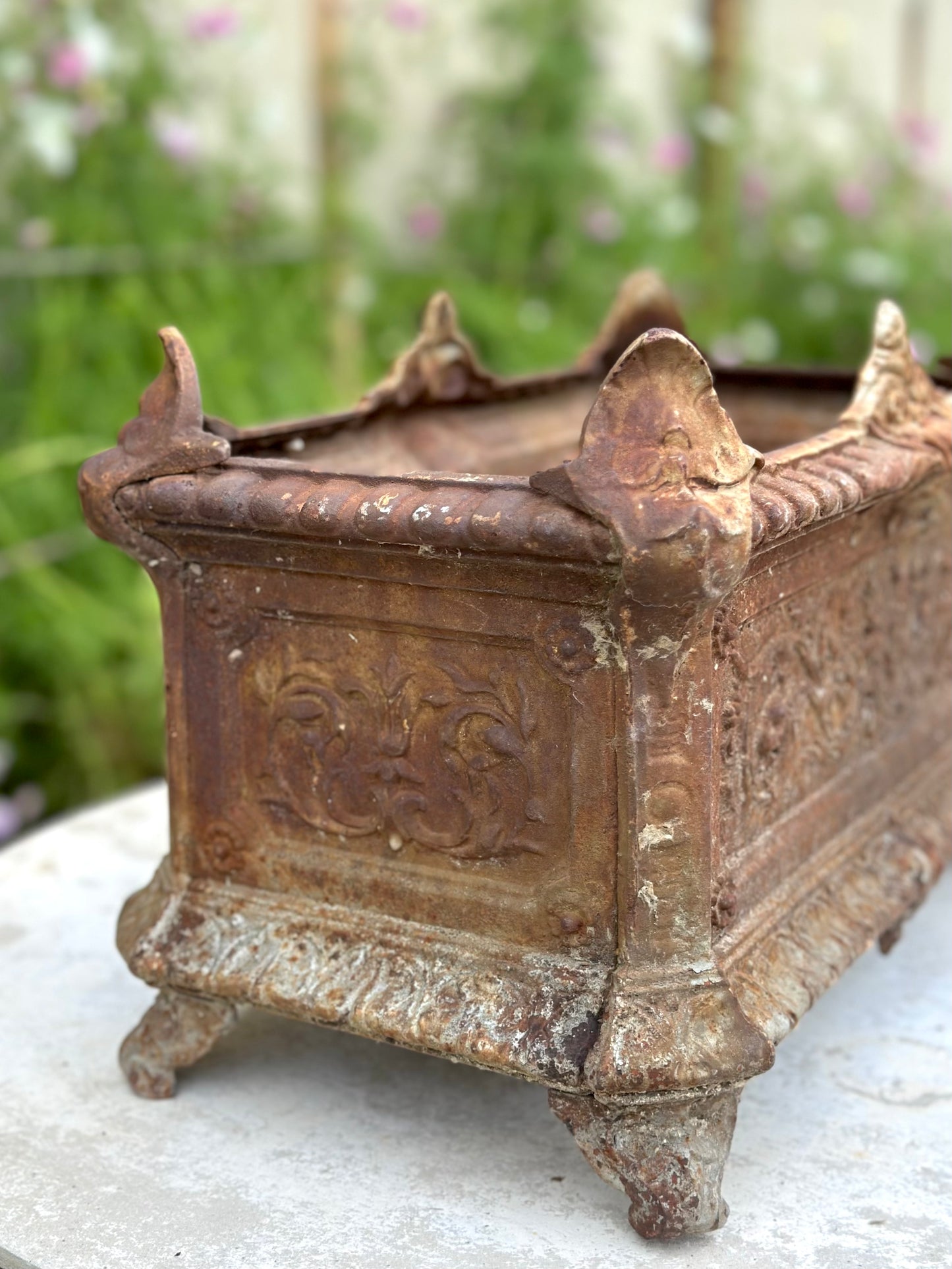Antique French Rust Rectangle Cast Iron Jardinere
