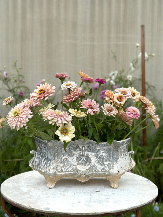 Antique French Wreath & Bow Cast Iron Jardinere