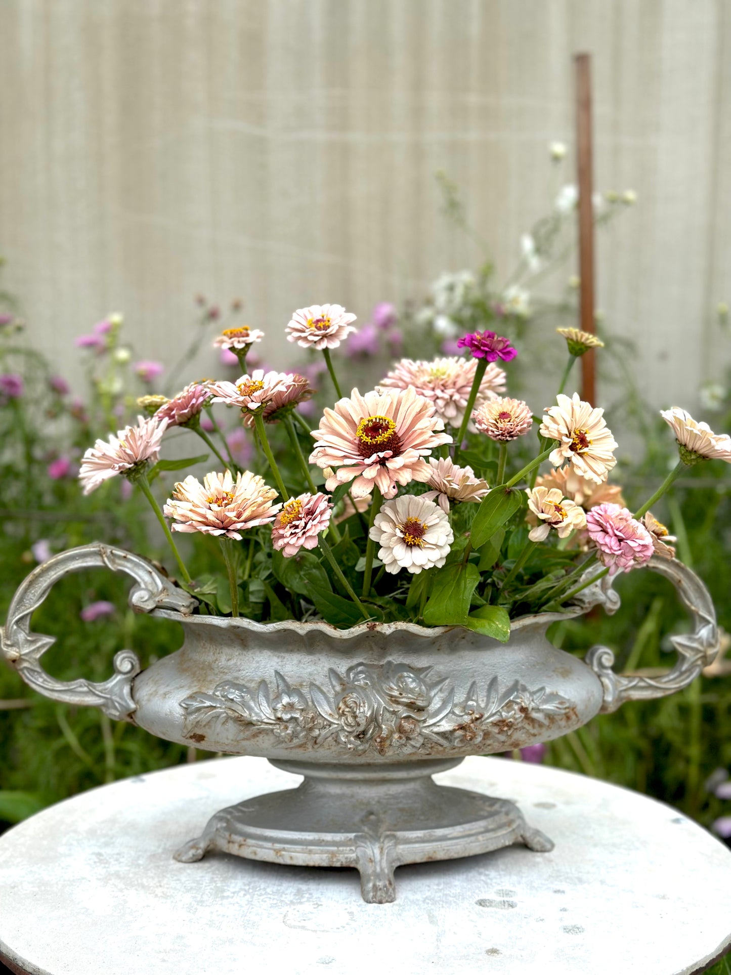Antique French Large Silver Cast Iron Jardinere with Handles