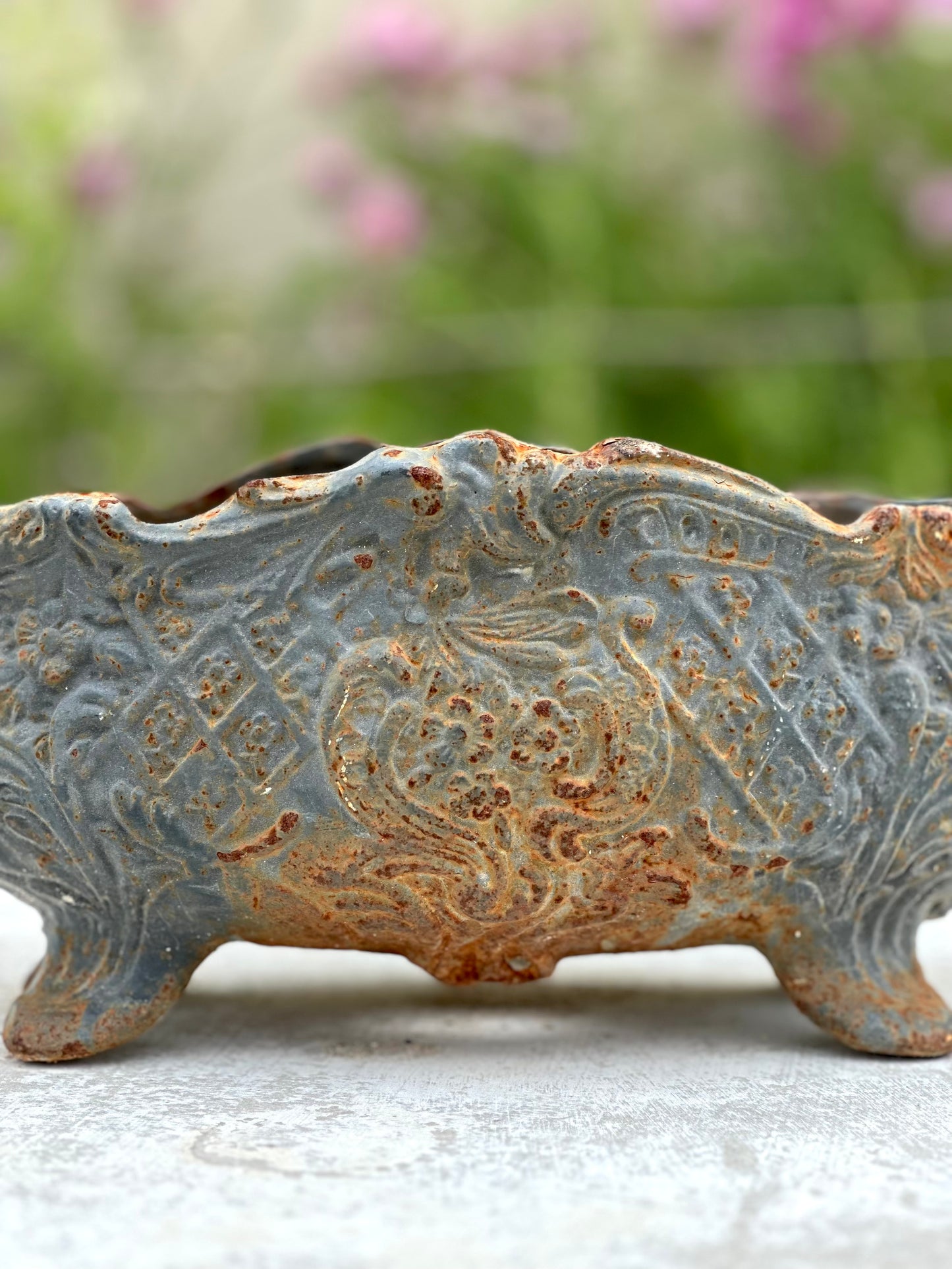 Antique French Petite Blue Cast Iron Jardinere