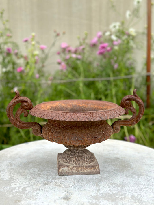 Antique French Petite Round Rust Cast Iron Jardinere with Handles