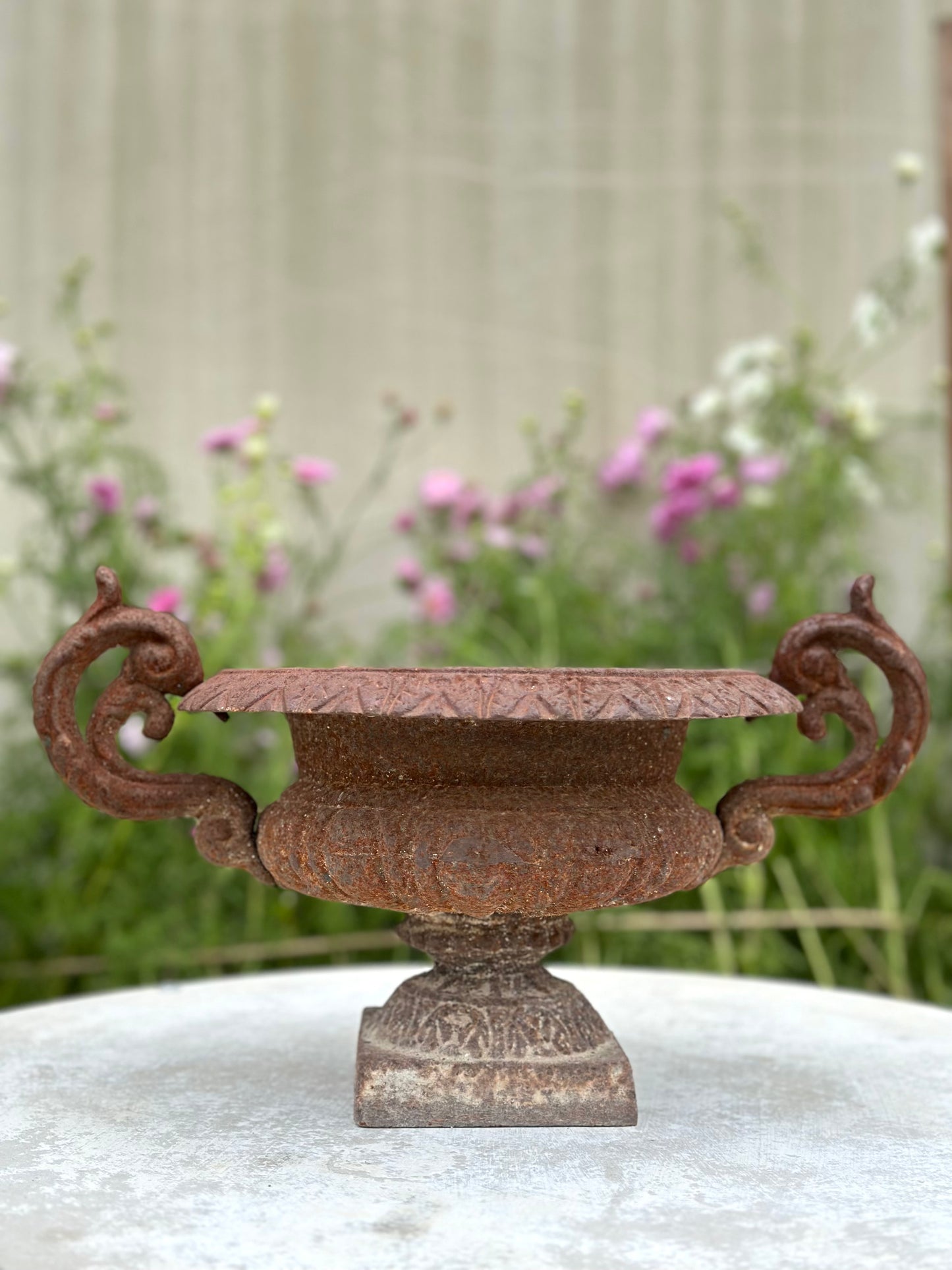 Antique French Petite Round Rust Cast Iron Jardinere with Handles