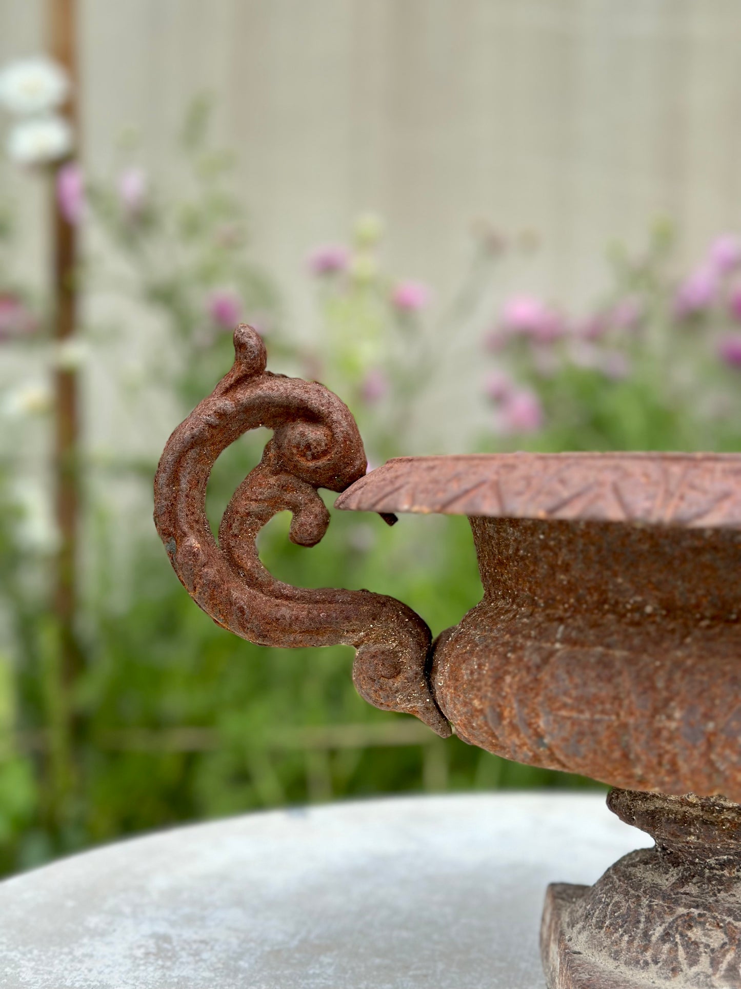 Antique French Petite Round Rust Cast Iron Jardinere with Handles
