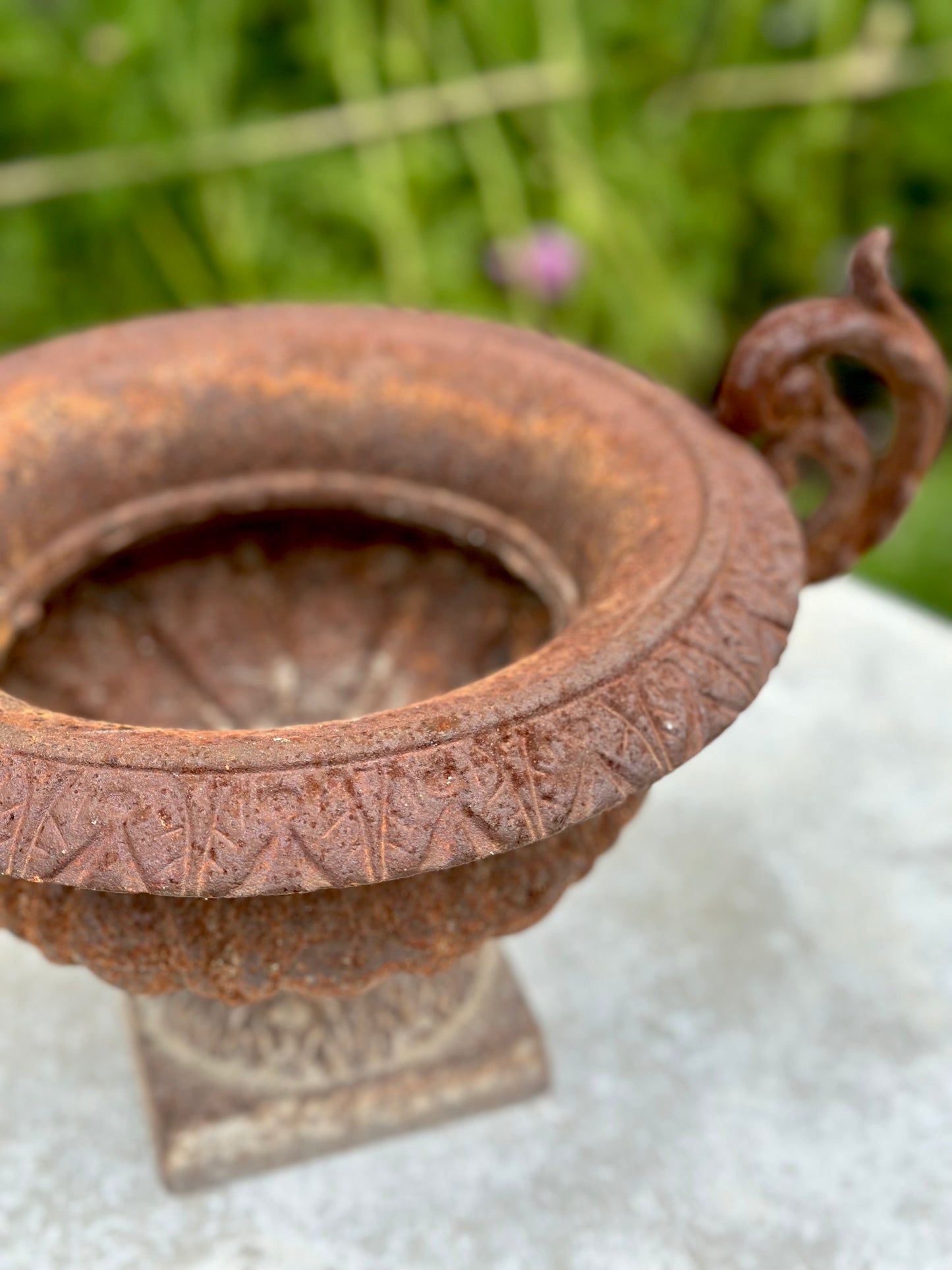 Antique French Petite Round Rust Cast Iron Jardinere with Handles