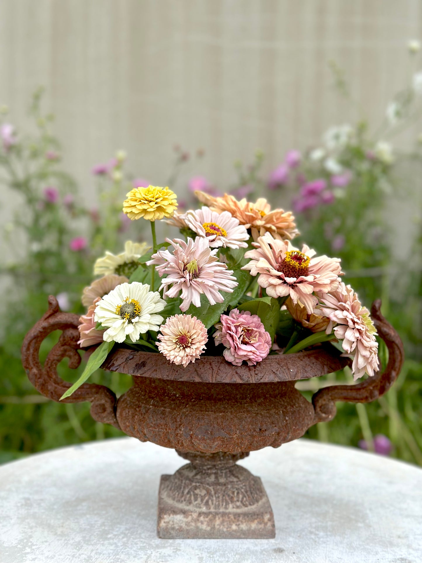 Antique French Petite Round Rust Cast Iron Jardinere with Handles