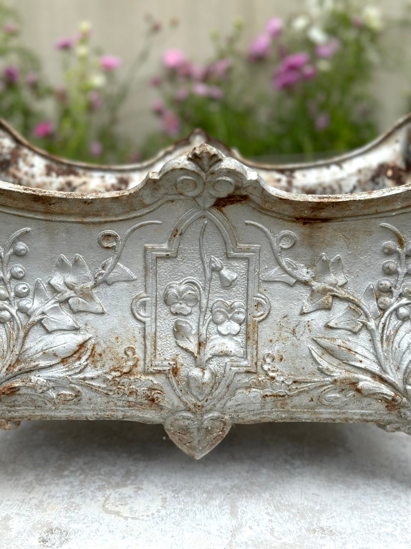 Antique French 'Pansy' Silver Cast Iron Jardinere - Extra Large