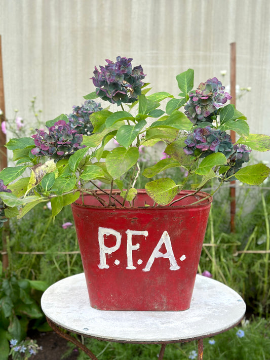 Antique French Rustic Metal Bucket - Red