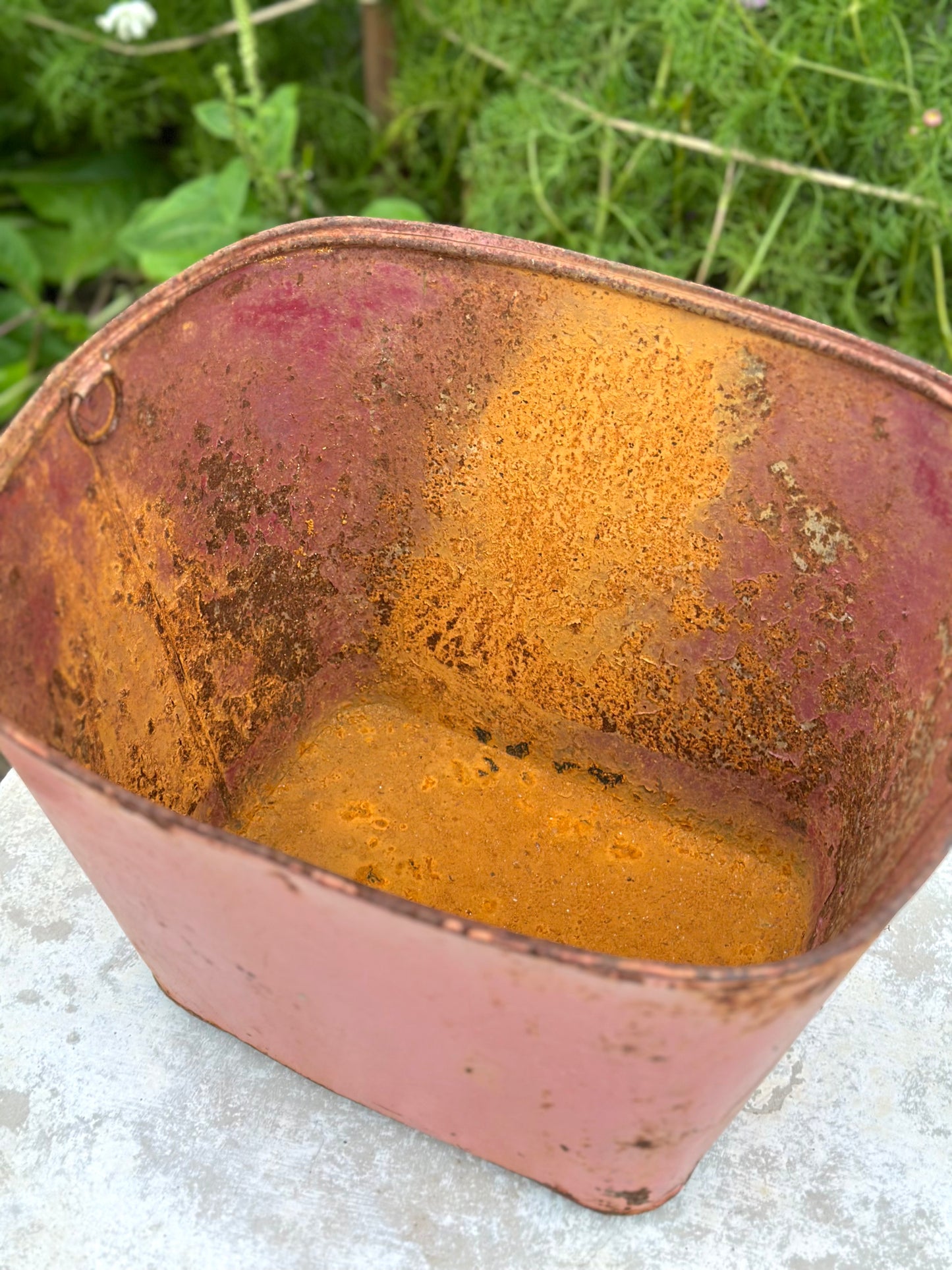 Vintage French Rustic Metal Bucket - Pink