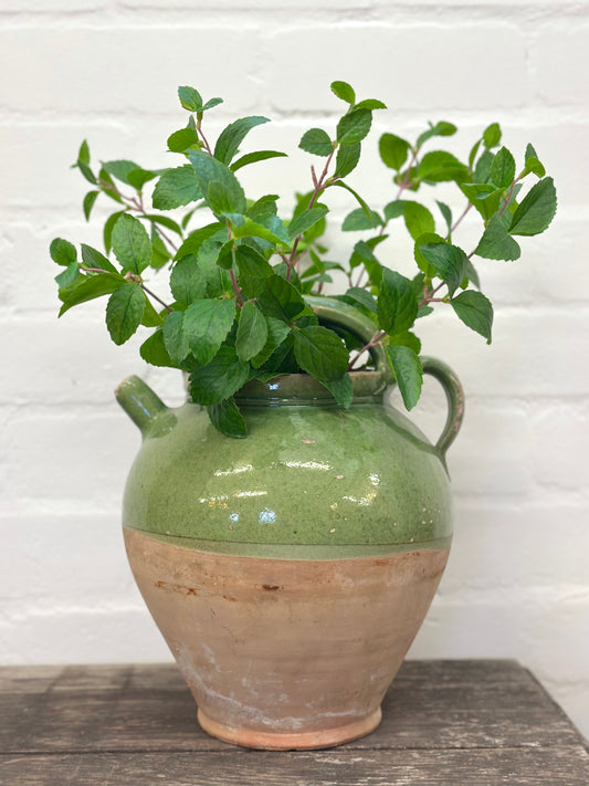 Antique French Green Glazed Confit Pot With Handle