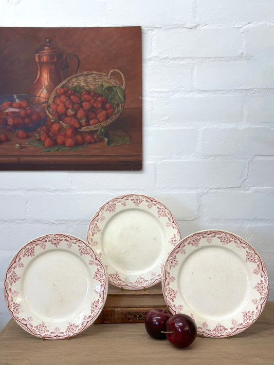 Antique French Raspberry Floral Plates