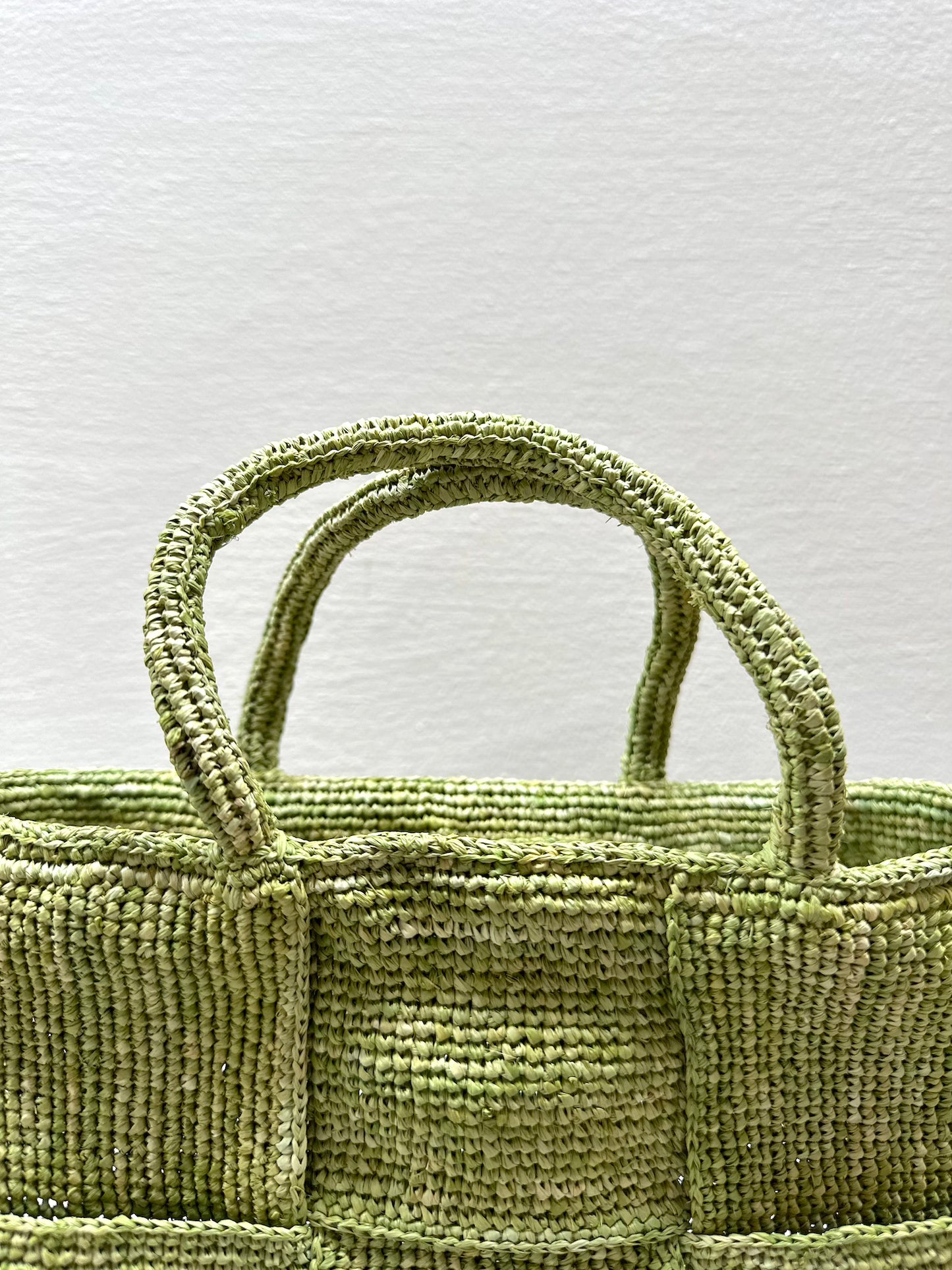 Sophie Digard Small Raffia Woven Handbag Green