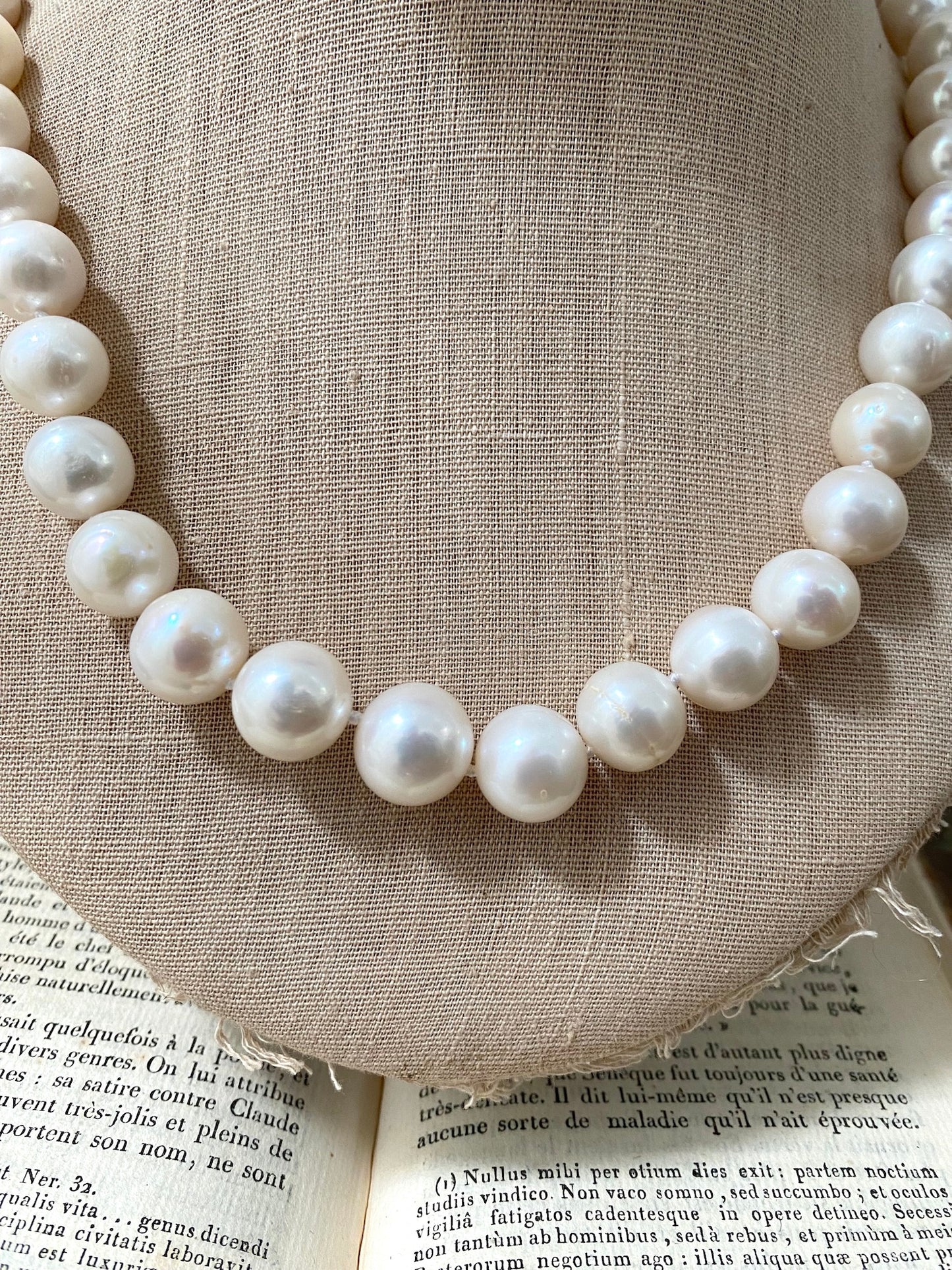 Italian Cream Pearl & Rose Gold Simple Clasp Necklace