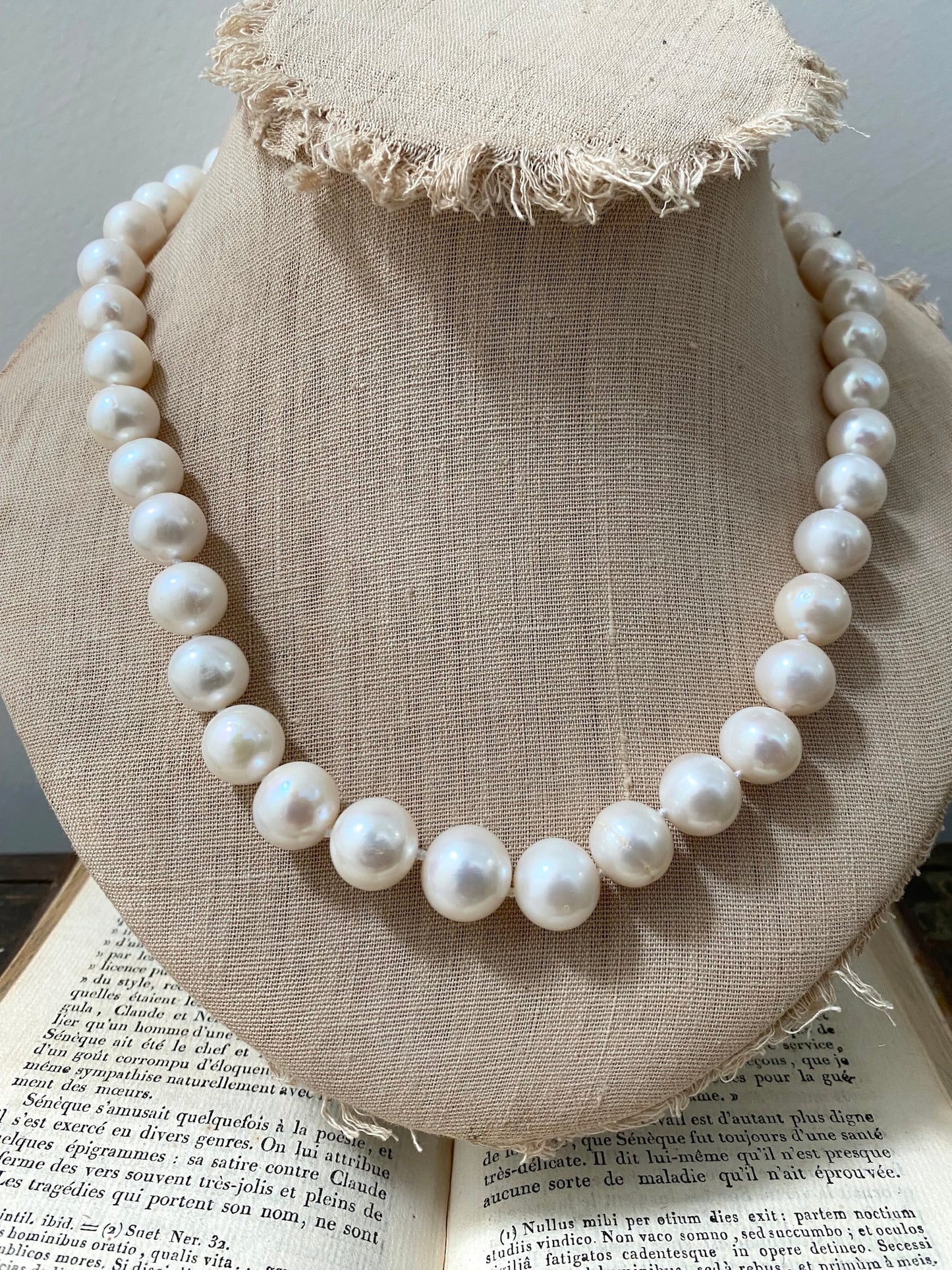 Italian Cream Pearl & Rose Gold Simple Clasp Necklace