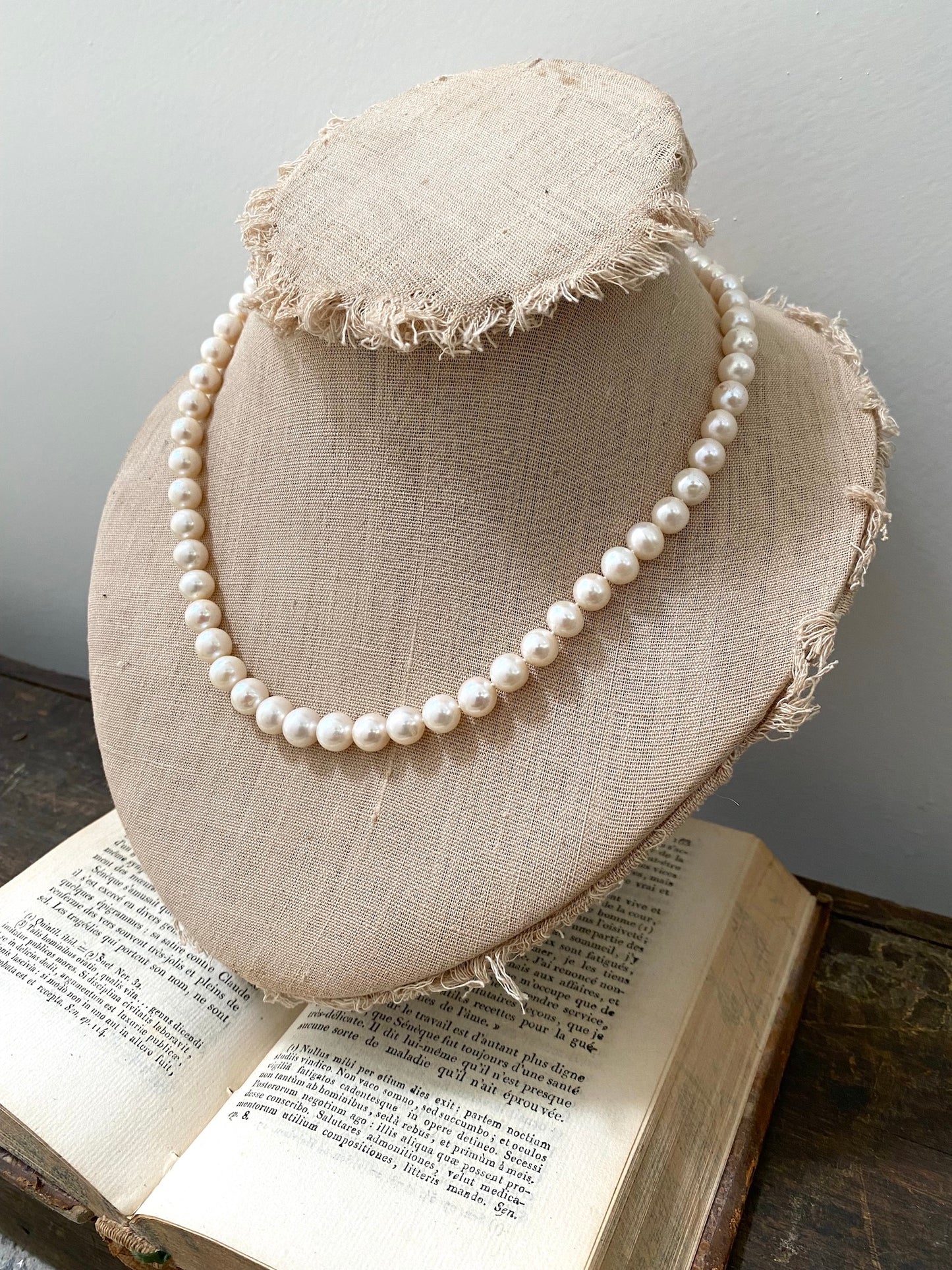 Italian Cream Small Pearl & Rose Gold Oval Clasp Necklace