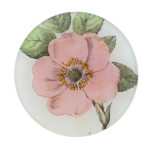 John Derian 'Rosa Canina' 4" Tiny Round Plate
