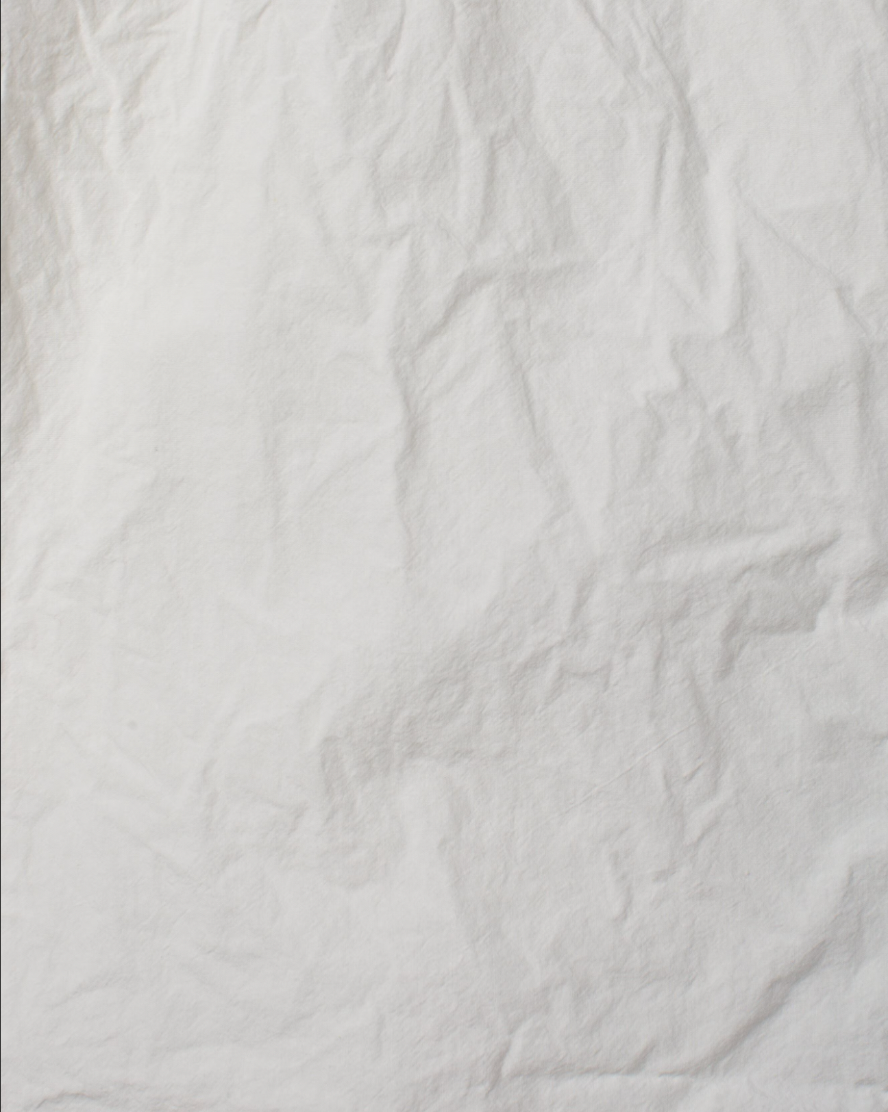 Ewa i Walla 'Odette' Cotton Blouse With Gathered Sleeve In Bone