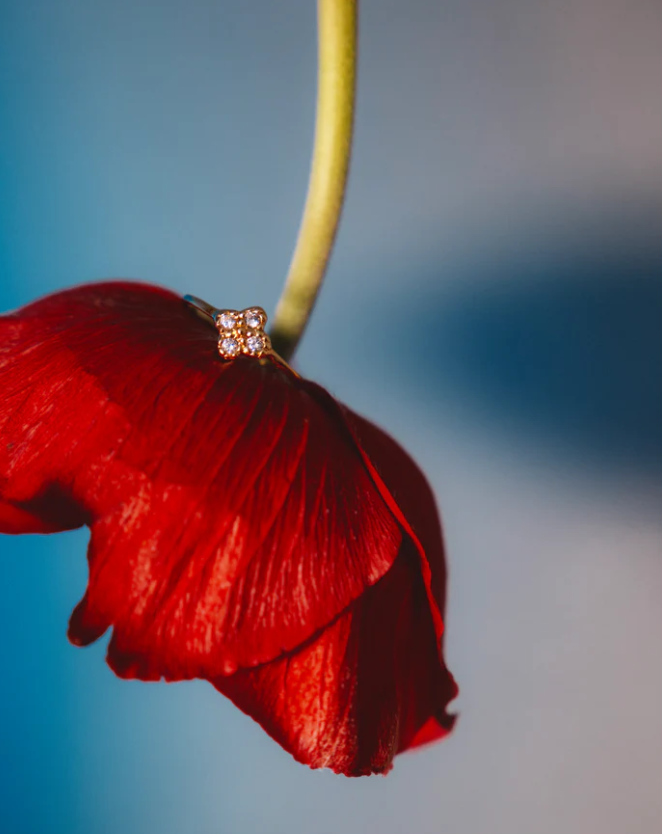 Alix d. Reynis Zita Ring