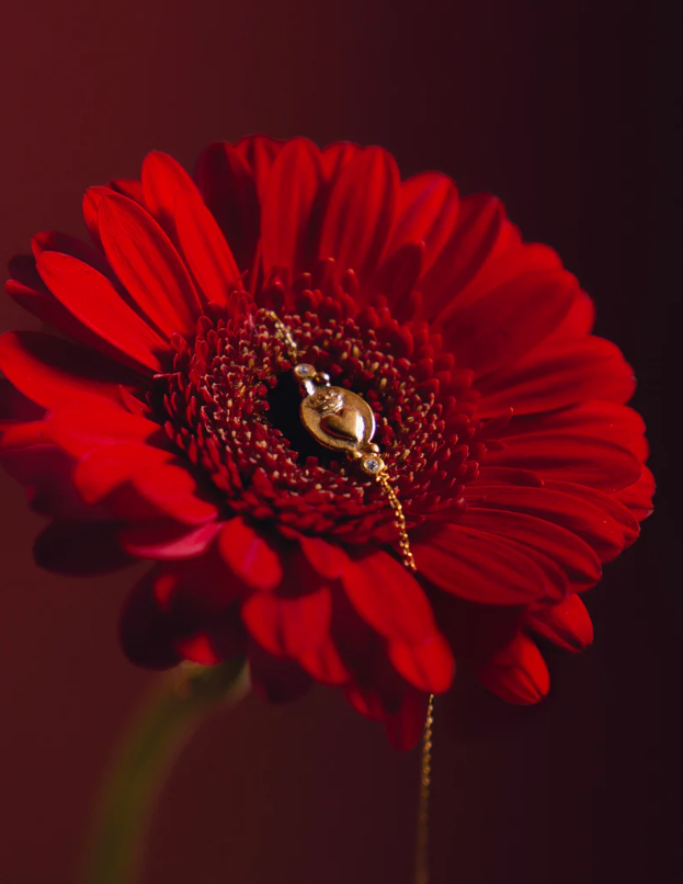 Alix d. Reynis Amore Bracelet