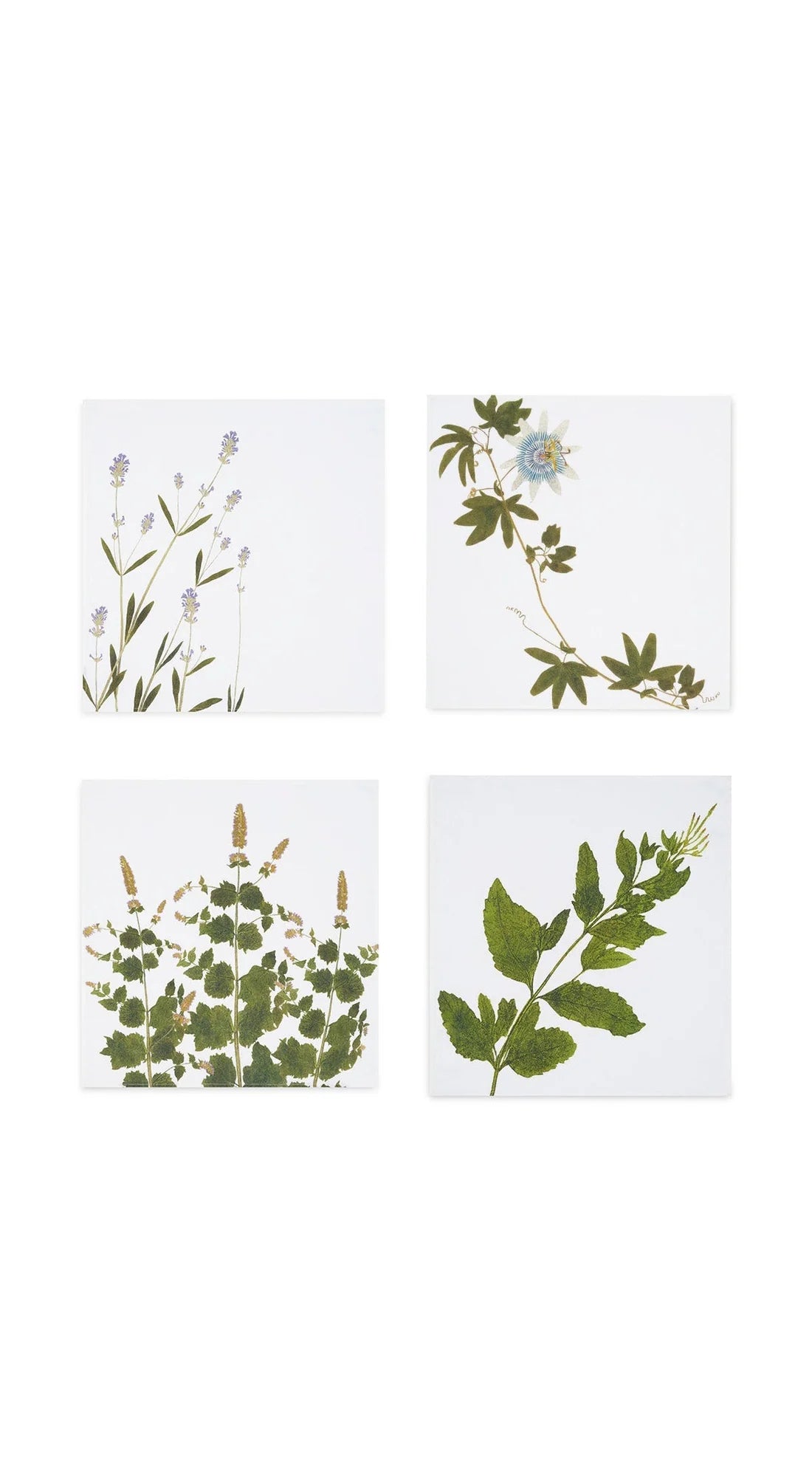 Summerill & Bishop 'Tisane Herb' Set of 4 Linen Napkins