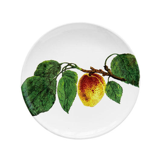 Astier de Villatte John Derian Spotted Plum Plate
