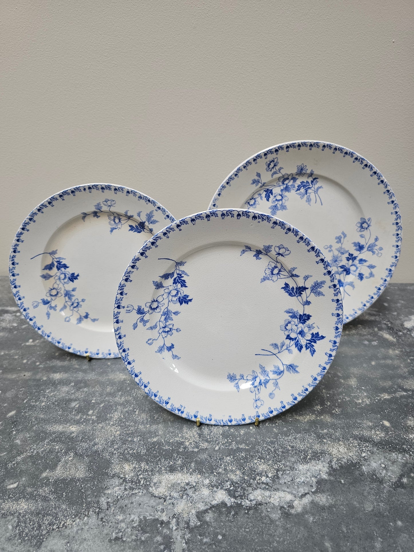 Antique Dutch 'Société Ceramique - Toulouse' Round Floral Plates