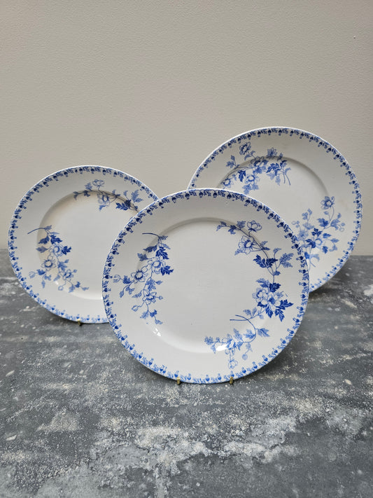 Antique Dutch 'Société Ceramique - Toulouse' Round Floral Plates