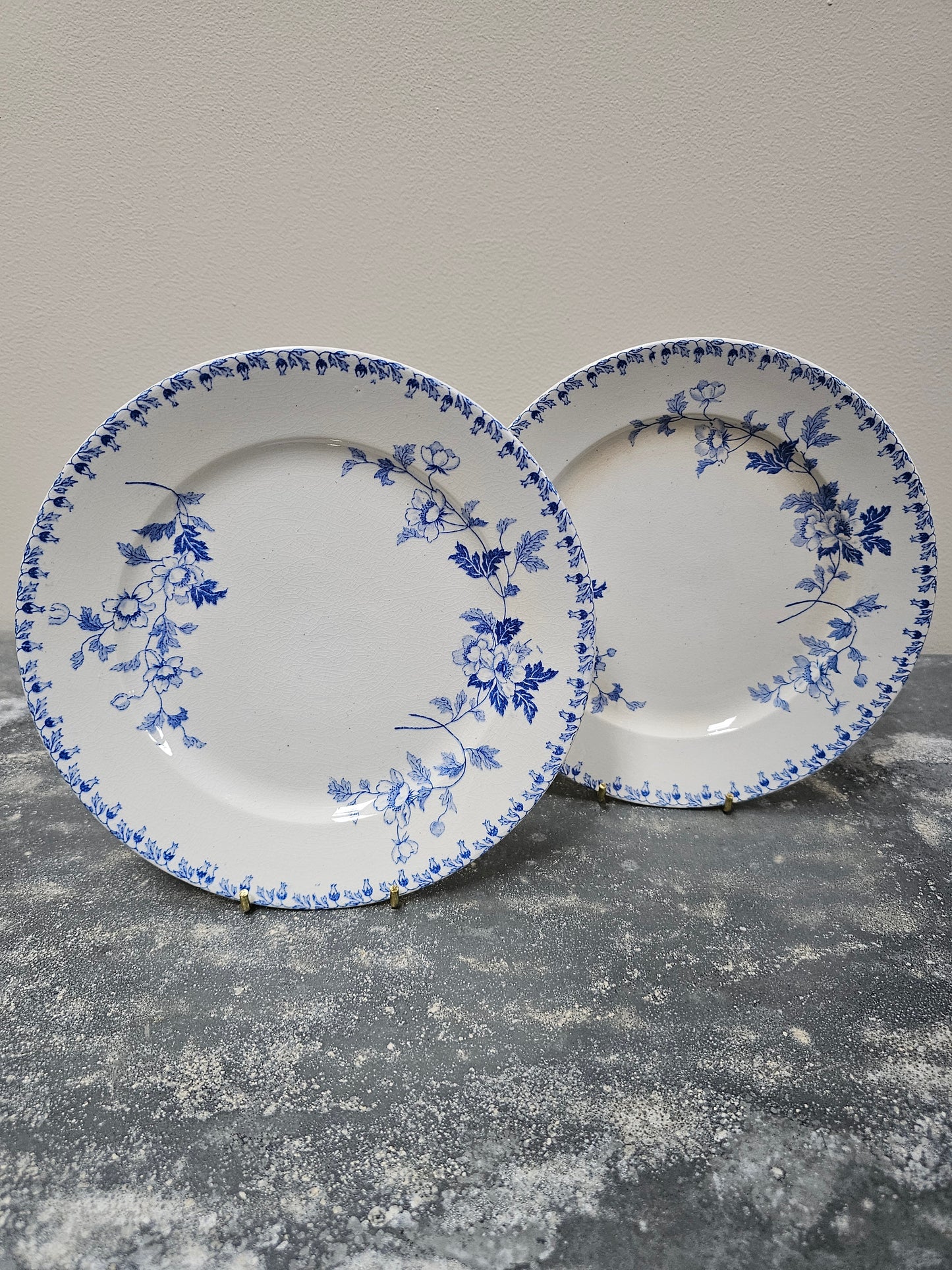 Antique Dutch 'Société Ceramique - Toulouse' Round Floral Plates