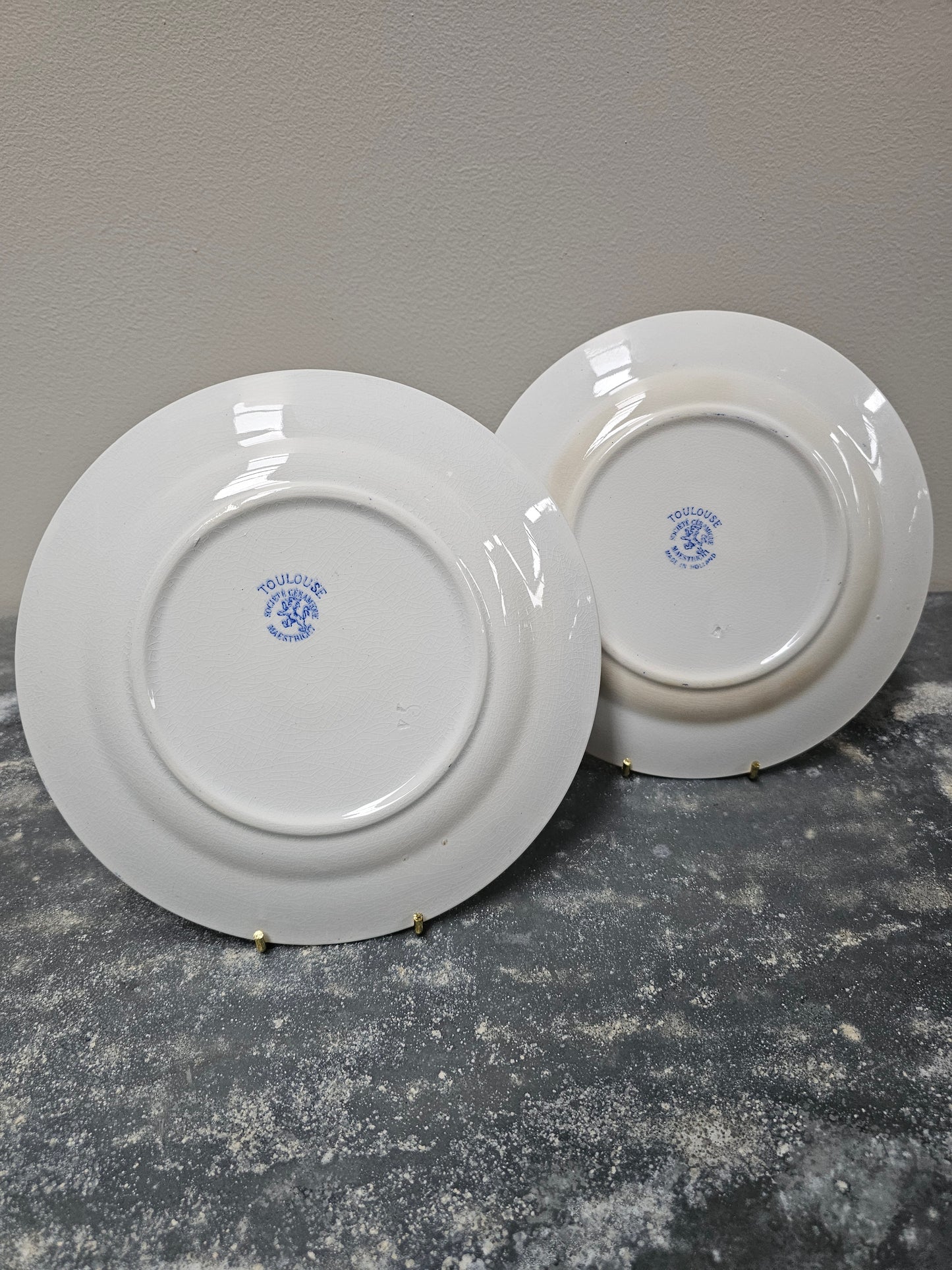 Antique Dutch 'Société Ceramique - Toulouse' Round Floral Plates