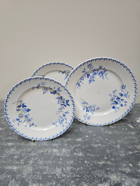 Antique Dutch 'Société Ceramique - Toulouse' Round Floral Plates