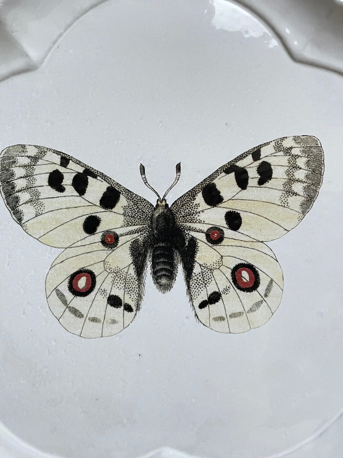 Astier de Villatte John Derian Butterfly Dinner Plate