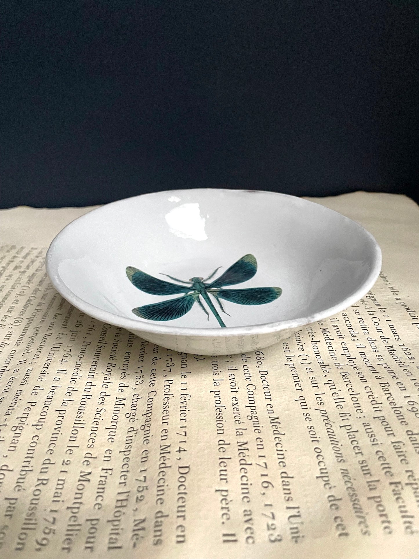 Astier de Villatte John Derian Dragonfly Soup Plate