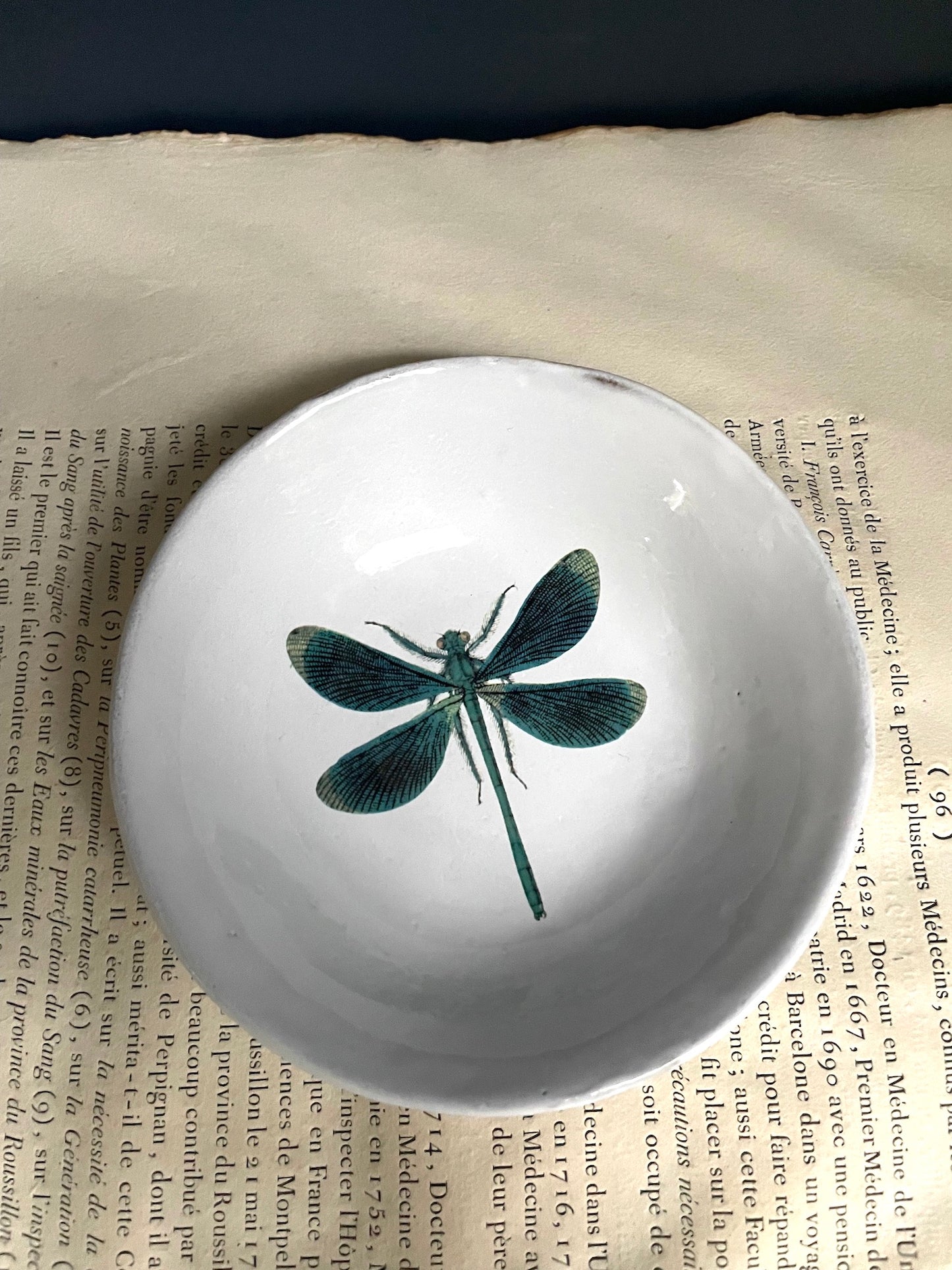 Astier de Villatte John Derian Dragonfly Soup Plate