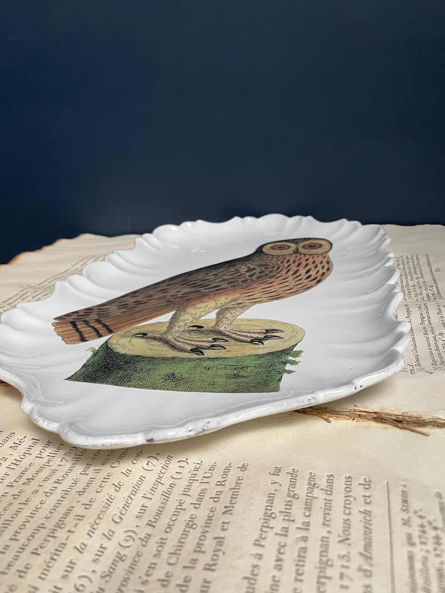 Astier de Villatte John Derian Owl Platter