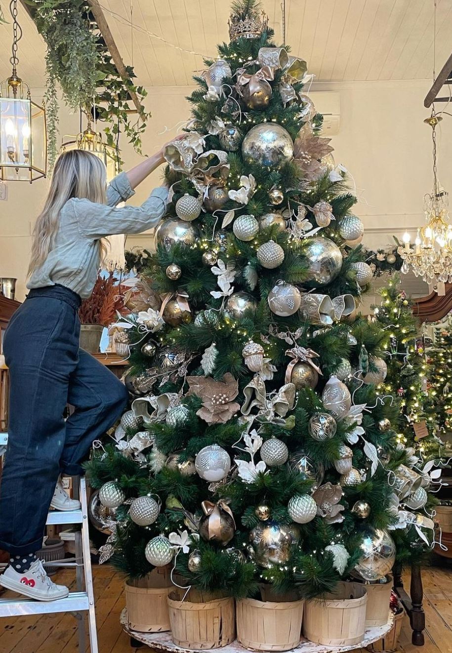 Cambridge Spruce Christmas Tree - PRE-ORDER