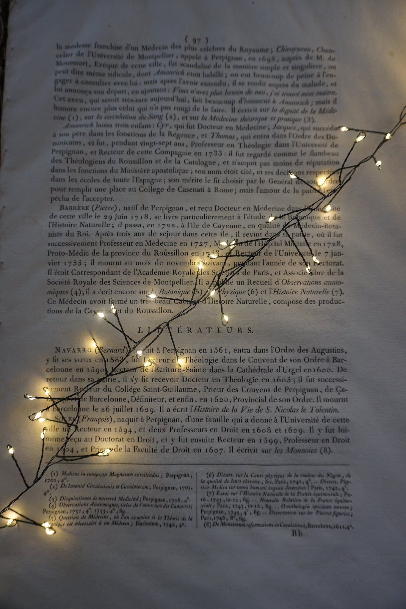 Christmas Tree LED Lustre Lights - 10 & 20 meters