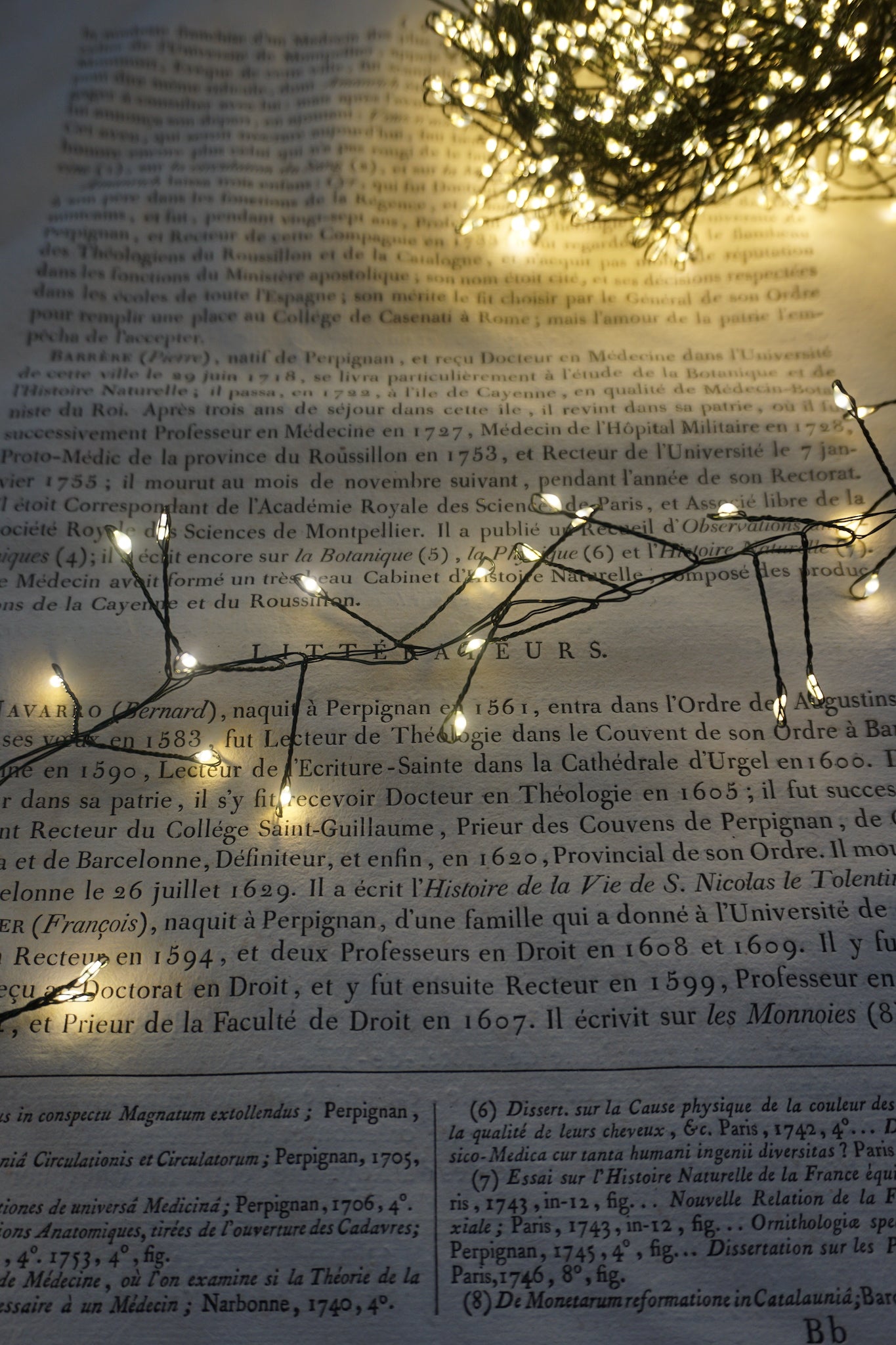 Christmas Tree LED Lustre Lights - 10 & 20 meters