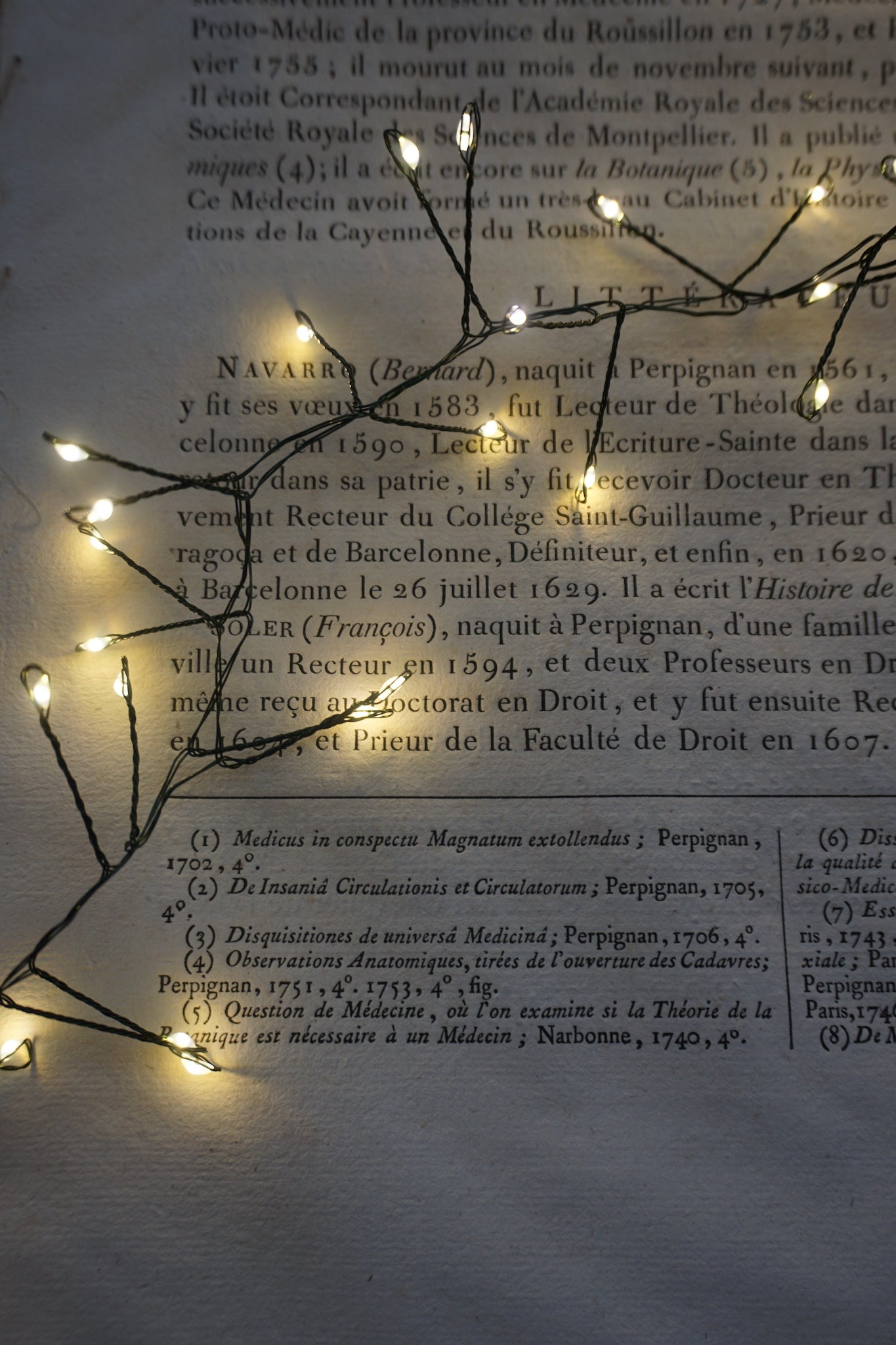 Christmas Tree LED Lustre Lights - 10 & 20 meters