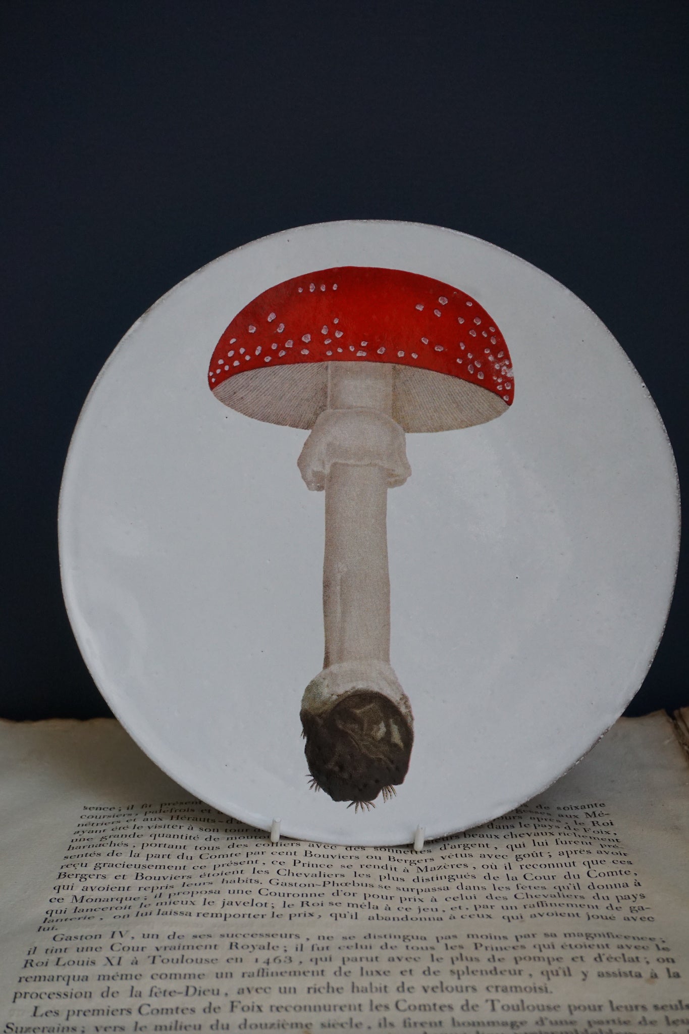 Astier de Villatte Agaric Fausse Oronge Umbrella Medium Plate