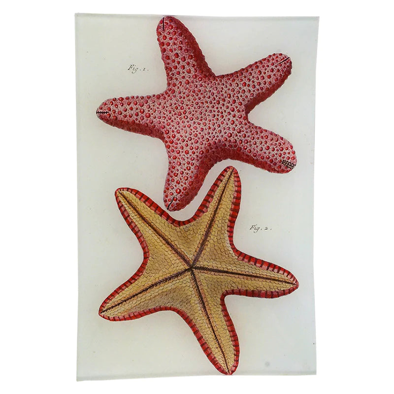 John Derian ‘Afterie P1 103’ 6x9" Tray