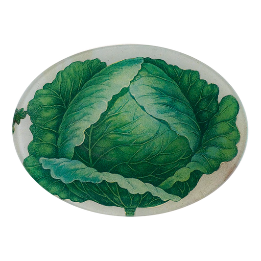 John Derian 'Scrapbook Cabbage' 5 x 7" Oval Plate